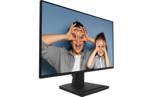 Slika izdelka: Zaslon MSI PRO MP252 24,5" / FHD / IPS / 100Hz / 1ms MPRT (črn)